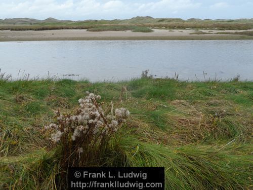 Enniscrone (Inniscrone, Inishcrone)